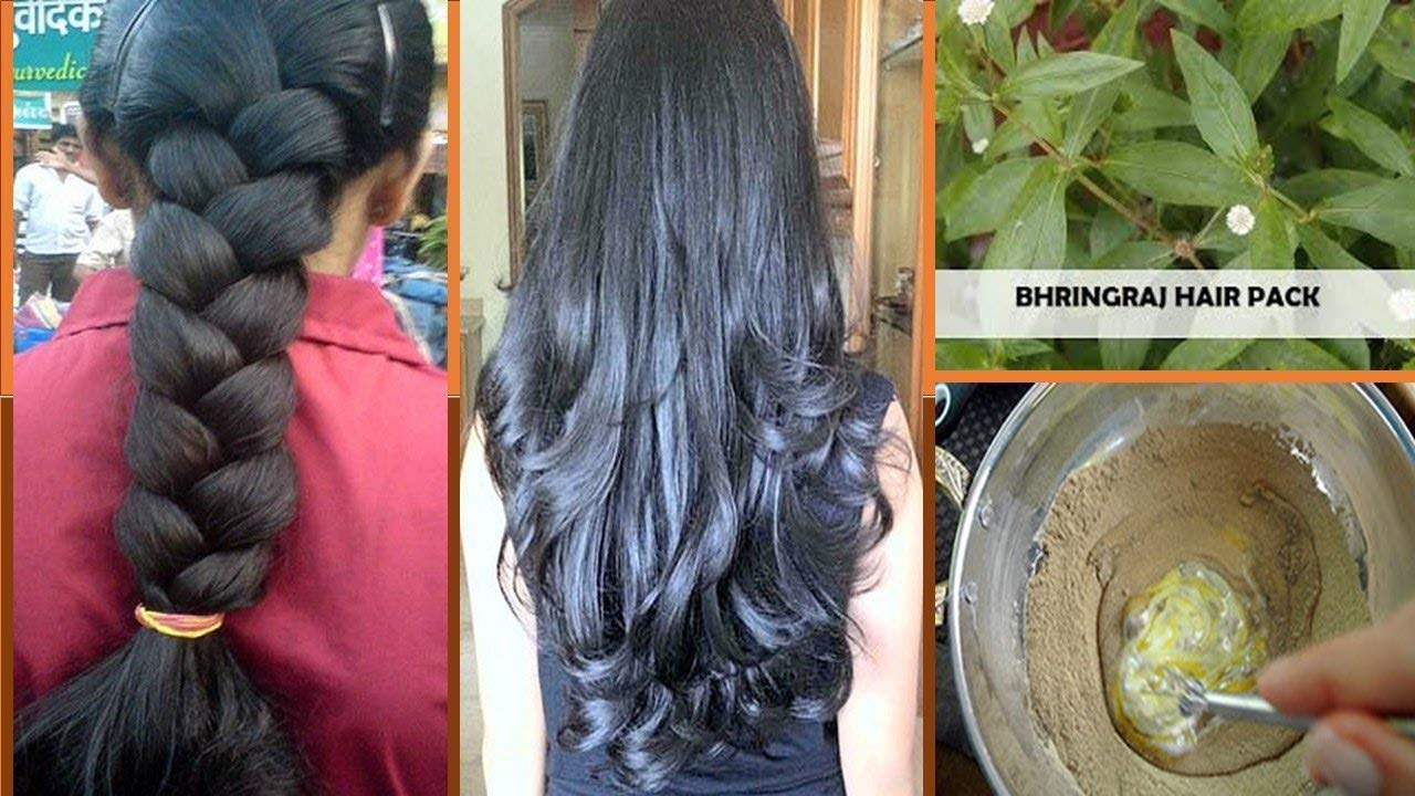 SriSatymev Hair Pack Powder Jar  Amla Hibiscus Shikakai Bhringraj  Powder Mix  Natural Herb For Hair Treatment